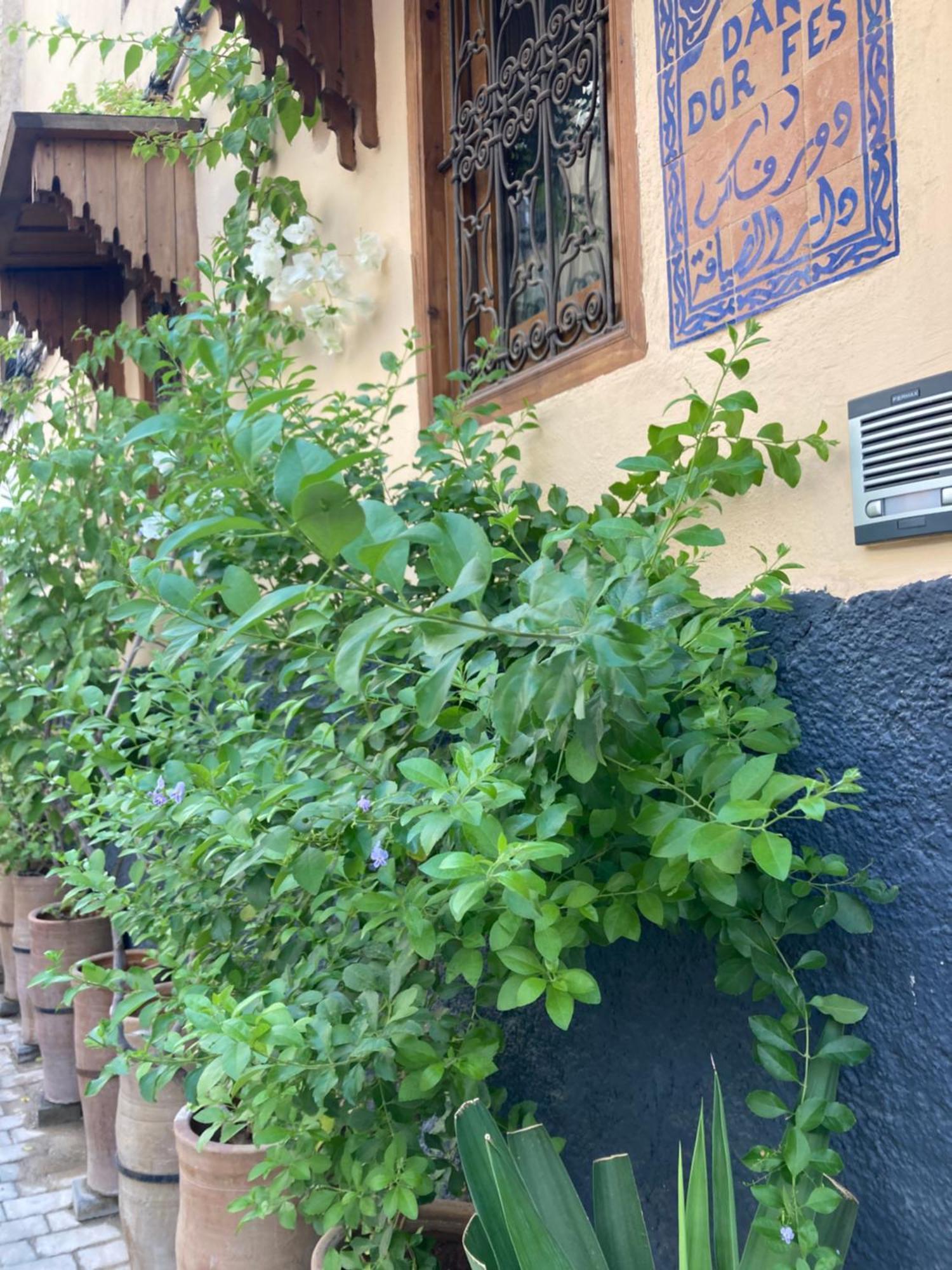 Dar D'Or Fes Hotel Luaran gambar